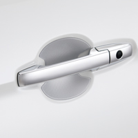 Door handle protection